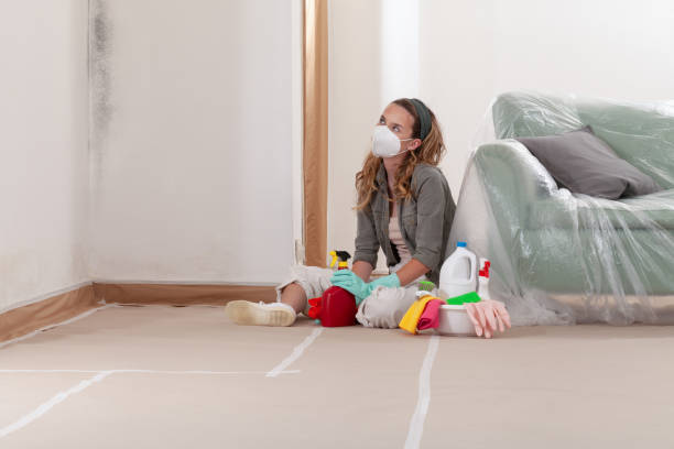Reliable Crawl Space Mold Removal contractor in Denton, NC by WQB Mold Removal