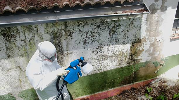 Top rated local Crawl Space Mold Removal specialists in Denton, NC